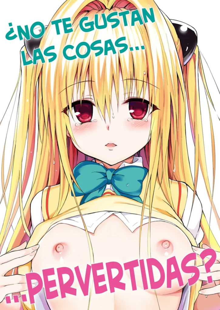 Ecchii no wa Kirai desu ka? | ¿No te Gustan las Cosas Pervertidas?