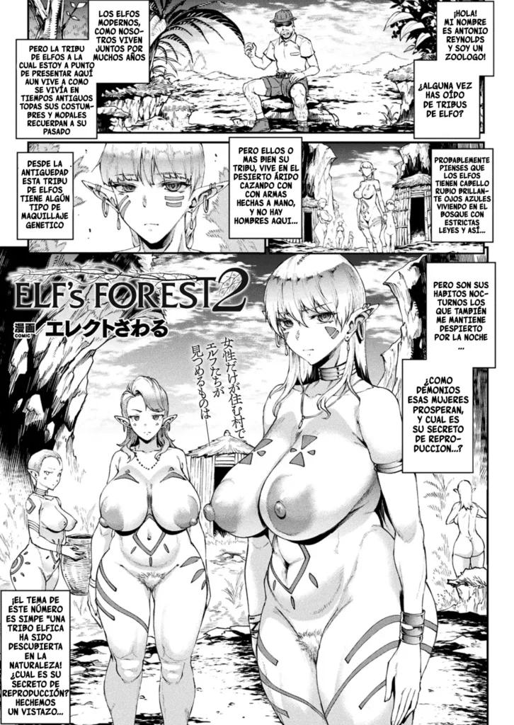 Elf’s Forest 2
