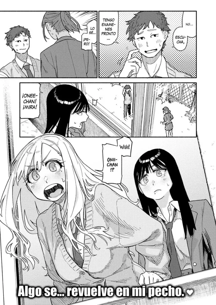 Futago wa Onii-chan ga Osuki