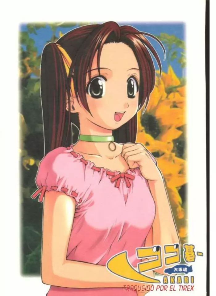 Go Go Goo Akari