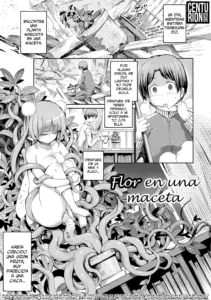 Hachi no Ue no Flower | Flor en una maceta