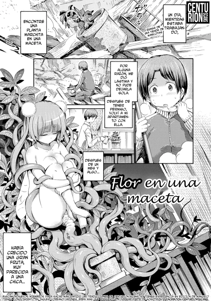 Hachi no Ue no Flower | Flor en una maceta