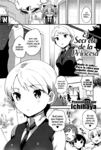 Himegoto Prince | El Secreto de la Princesa