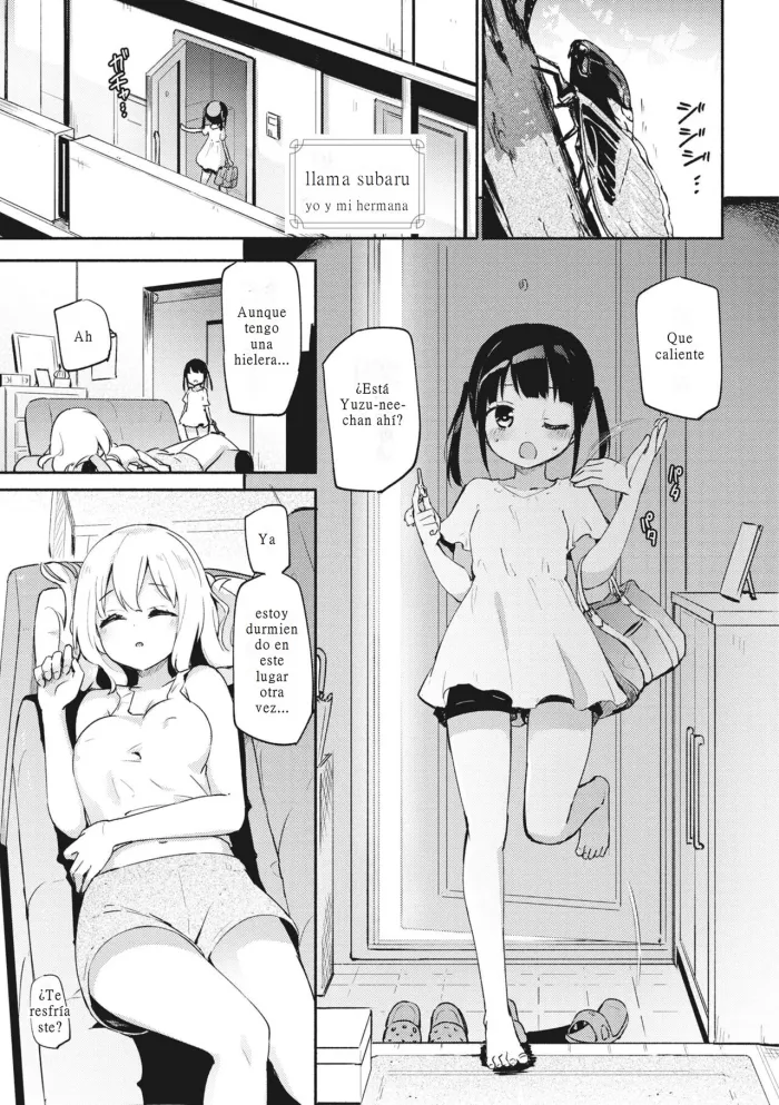 [Homura Subaru] Watashi to Onee-chan | Yo y Mi Hermana (Donna Oppai ga Osuki desuka?) [Spanish] [Irtradil] [Digital]