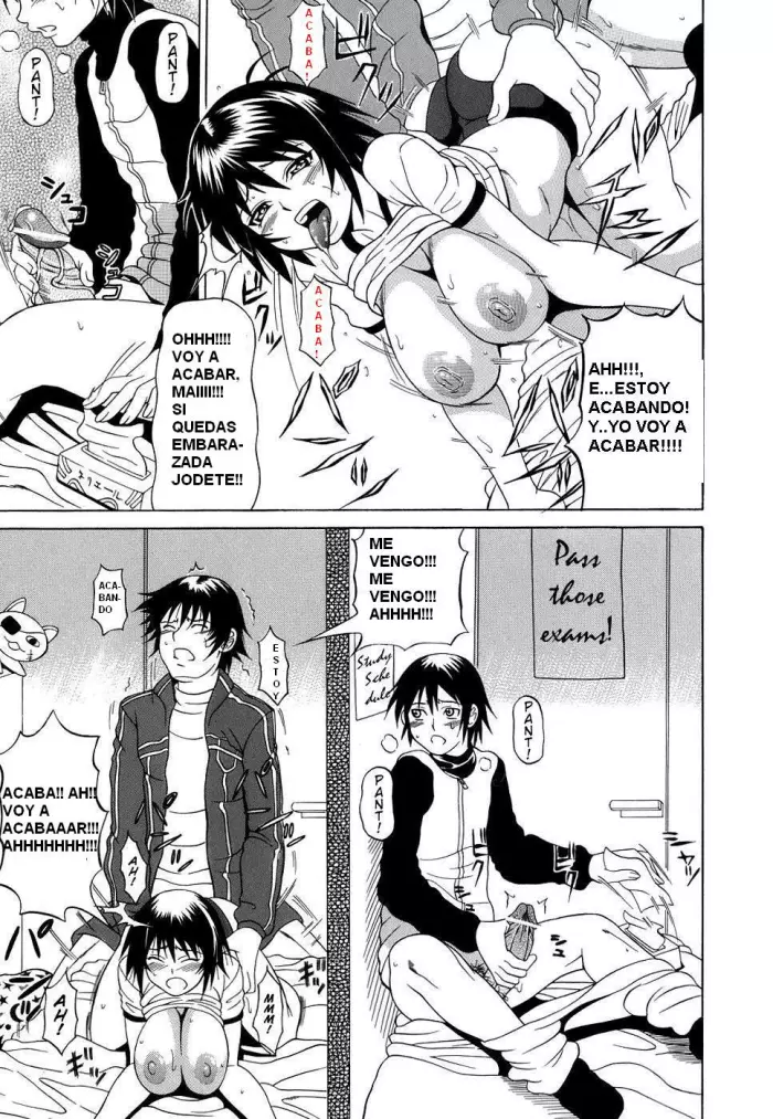 Honestidad Zero
