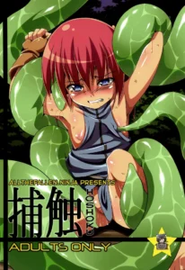 Hoshoku 1