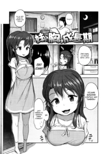 Imouto no Mune wa Seichou-ki | El pecho de mi hermanita ha crecido