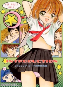 INTRODUCTION