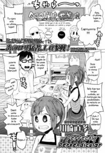 [Kawasaki Tadataka] - Perfectly Perpendicular - [spanish]