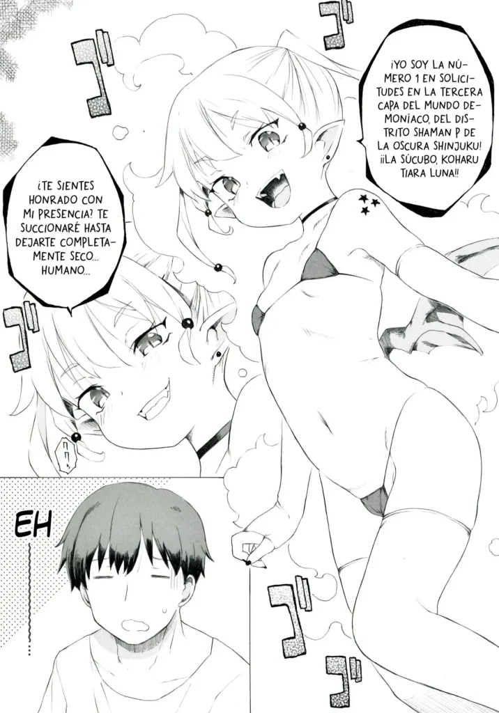 Koharu-sama Series – Koharu-sama, La Serie