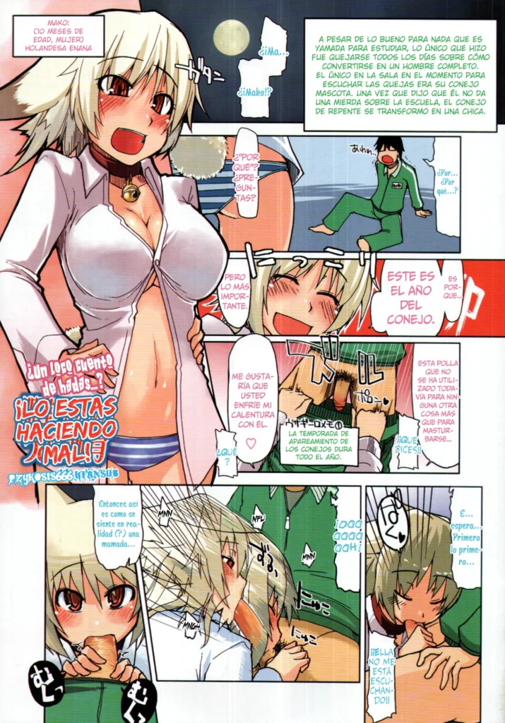 Machigai Darake no Usagi Shiiku | Lo Estas haciendo Mal! (decensored)