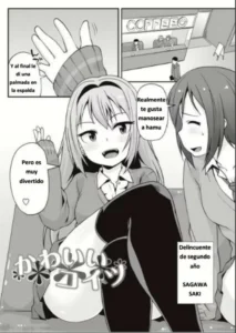 [Mamezou] Kawaii Koitsu (Anal wa Sex ni Hairimasu ka?) [Spanish] [Digital]