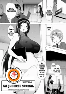 MI JUGUETE SEXUAL