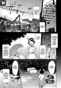 Michi Tono Dokidoki Shinkon Seikatsu!? - Una Extraña DOKI DOKI Vida de Recién Casados!?