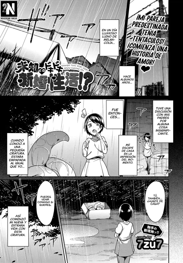 Michi Tono Dokidoki Shinkon Seikatsu!? – Una Extraña DOKI DOKI Vida de Recién Casados!?