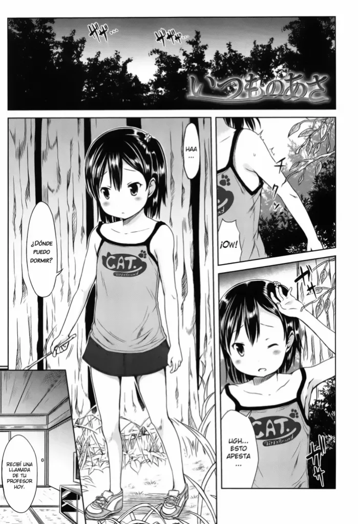 [Misao.] Itsumo no Asa (Hajimete Janai yo?) [Spanish] [Shadow Hunter]
