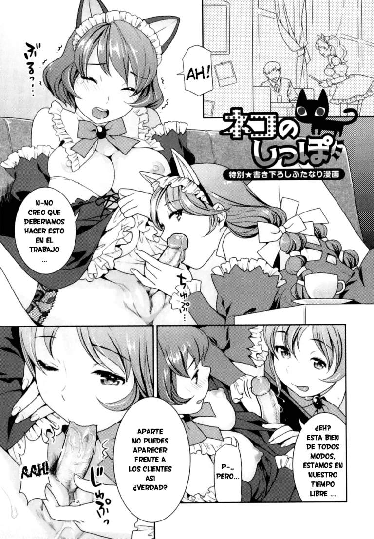 Neko no Shippo | The Cat’s Tail (decensored)