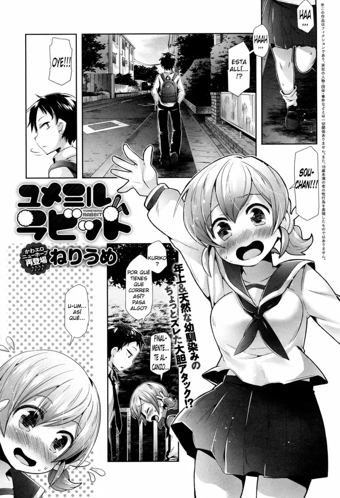 [Neriume] Yumemiru Rabbit (COMIC Anthurium 2016-12) [Spanish] {Luis-san}