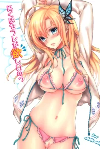 Niku wa SeFri ga Hoshii no