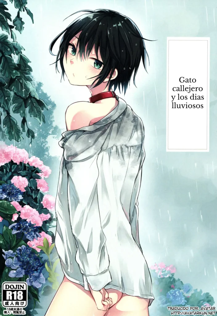 Nora Neko to Rainy Days