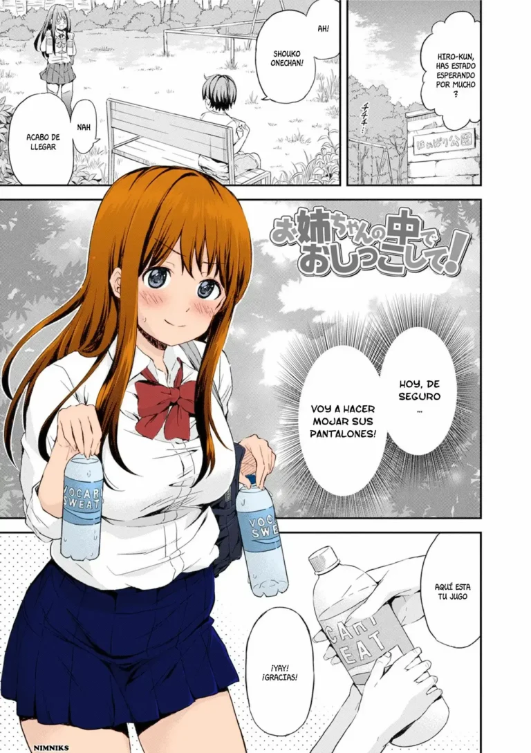 Onee-chan no Naka de Oshikko Shite!