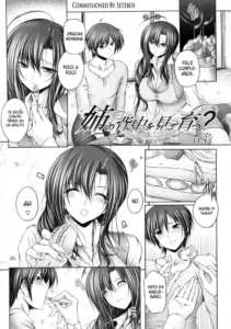 [Otone] Ane no Senaka o Mite Sodatsu? (COMIC Megastore 2010-01) [Spanish] [Henpagina + La Otra Biblioteca de Saizoh]