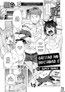 Oyukake Nyanko | Gatitas no invitadas  2