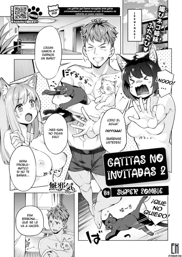 Oyukake Nyanko | Gatitas no invitadas  2