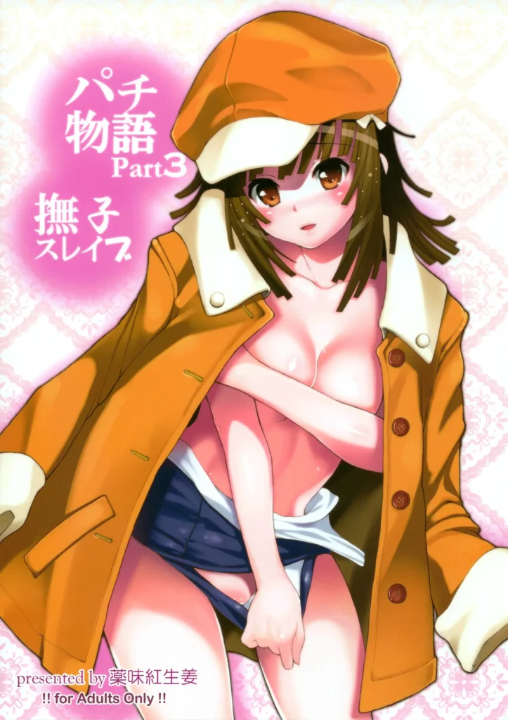 Pachimonogatari Part 3: Nadeko Slave | Pachimonogatari Parte 3- Nadeko Esclava
