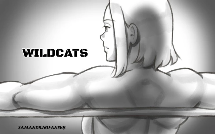 [pink-noise (Mizuiro Megane)] WILDCATS ~ Futanari Chika Battle [Spanish] [Samandrielfansub]