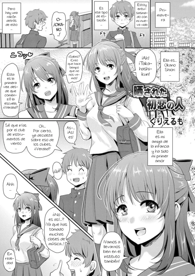 Sarasareta Hatsukoi no Hito