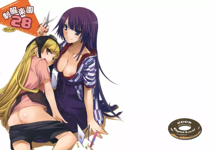 (SC45) [Digital Lover (Nakajima Yuka)] Seifuku Rakuen 28 – Costume Paradise 28 (Bakemonogatari) [Spanish] =HACHInF=