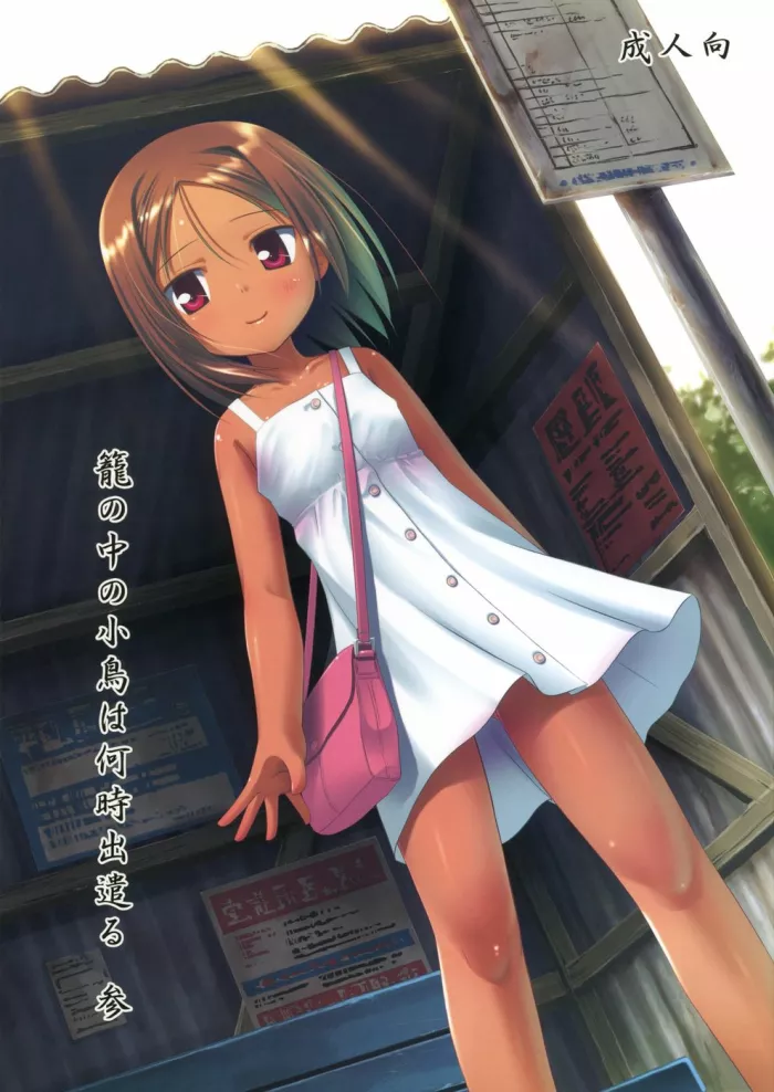 (SC52) [Noraneko-no-Tama (Yukino Minato)] Kago no Naka no Kotori wa Itsu Deyaru 3 | Cuando soltaran al ave enjaulada 3 [Spanish] {lolivault}