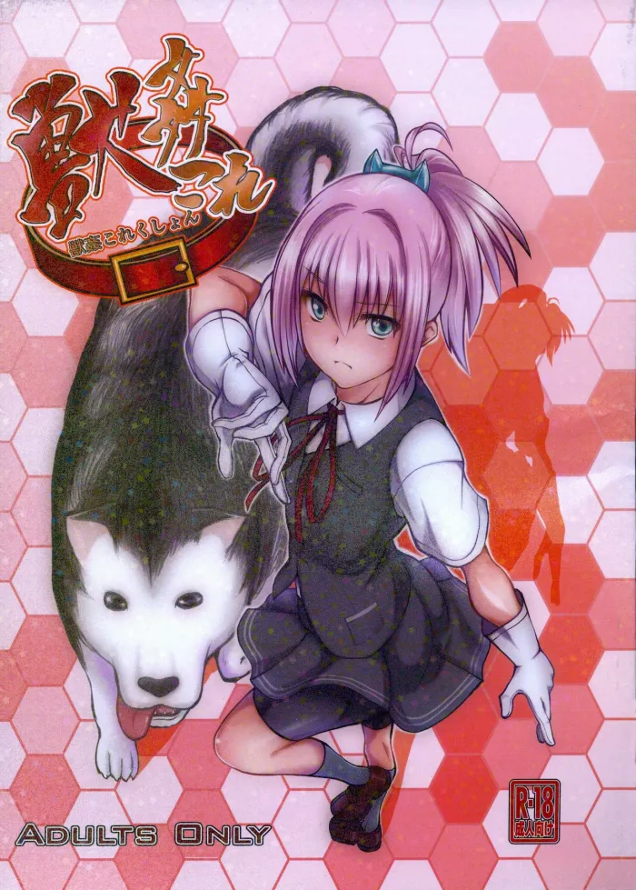 (SC61) [Zensoku Rider (Tenzen Miyabi)] Juukan Collection (Kantai Collection -KanColle-) [Spanish]