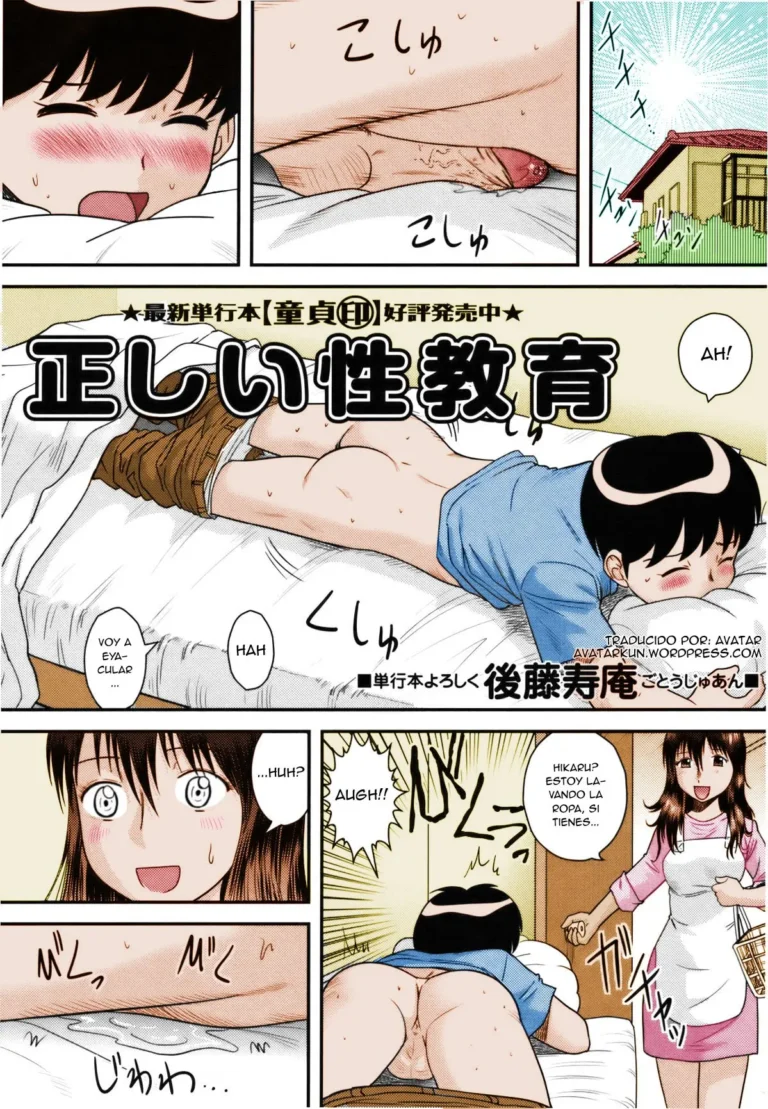 Tadashii Seikyouiku | Proper Sex Ed (decensored)