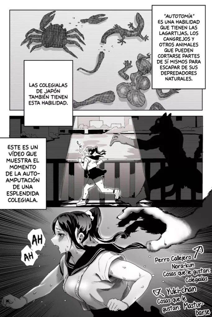 [Tansan Tsuyo] Self-amputation of Schoolgirls in Japan | Auto-amputación de las Colegialas de Japón