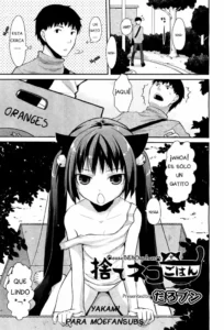 [Taropun] Sute Neko Gohan (COMIC Aun 2012-04) [Spanish] [Moe Fansub]