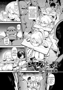 [TRY Hougen] Elf no Tsukaimichi | The Way to Use Elves (Bessatsu Comic Unreal Ningen Bokujou Hen Vol. 7) [Digital] [Spanish]