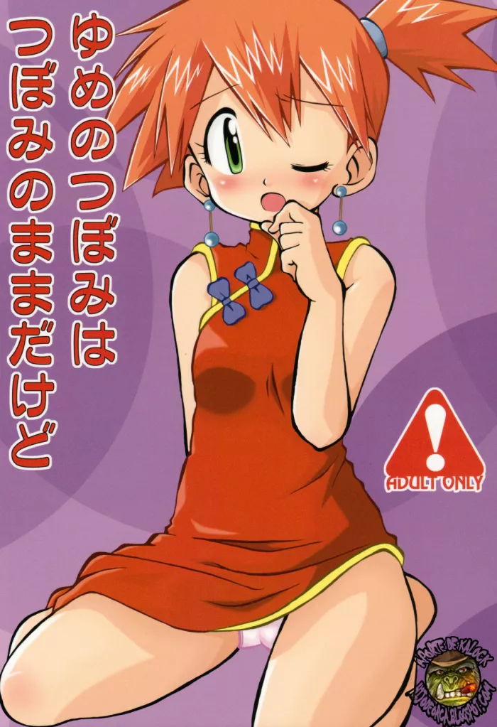 [Ukkaridou (Shimazu Isami)] Yume no Tsubomi wa Tsubomi no Mama dakedo | A Dream’s Bud Should Remain a Bud (Pokémon) [Spanish] [kalock]