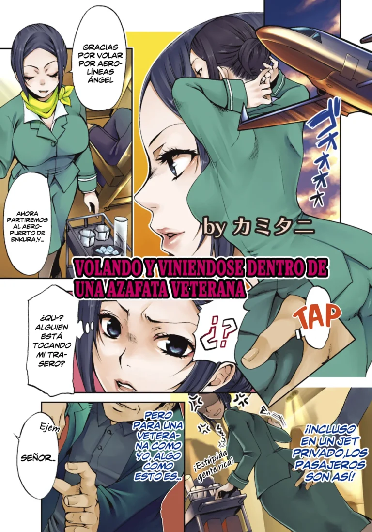 Veteran Ste to Iku Chitsudashi Flight | Volando y viniendose dentro de una azafata veterana