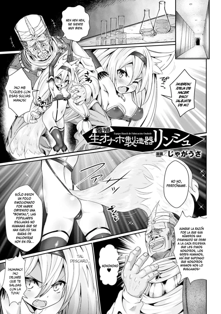 Youshoku Nama Onahole Seizouki Rinsch | Equipo Rinsch de Fabricación Onahole