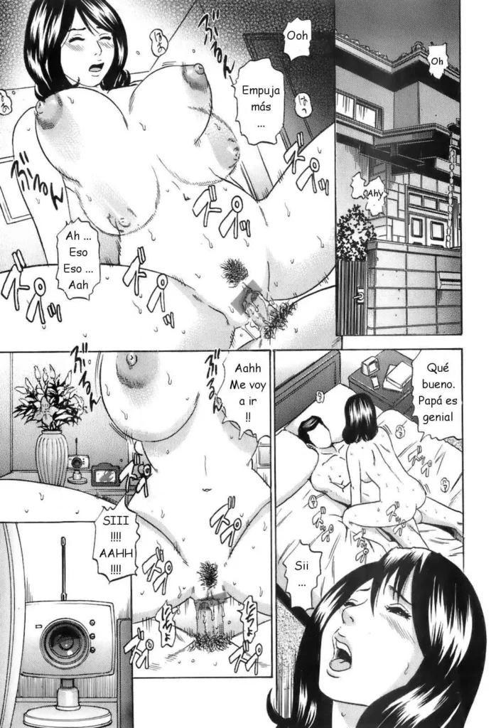 Aiko-san ~Teishuku na Haha, Inran na Koibito~ | Akiko. Una madre ejemplar. Una amante muy salida