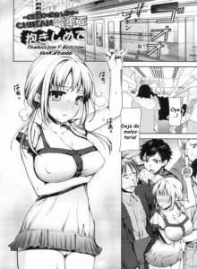 Chikan Densha de Dakishimete (decensored)