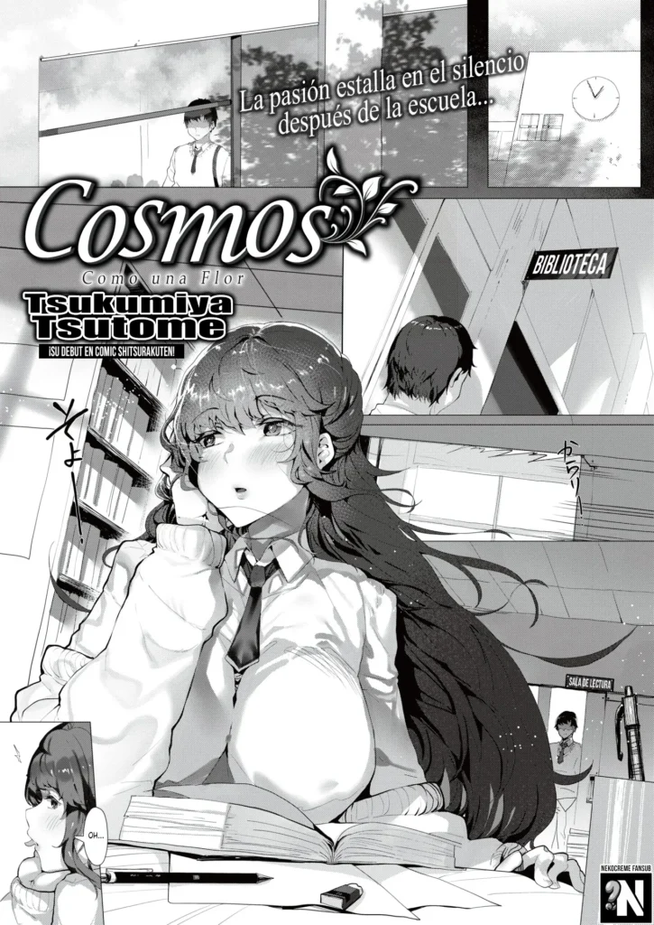Cosmos – Like a Flower