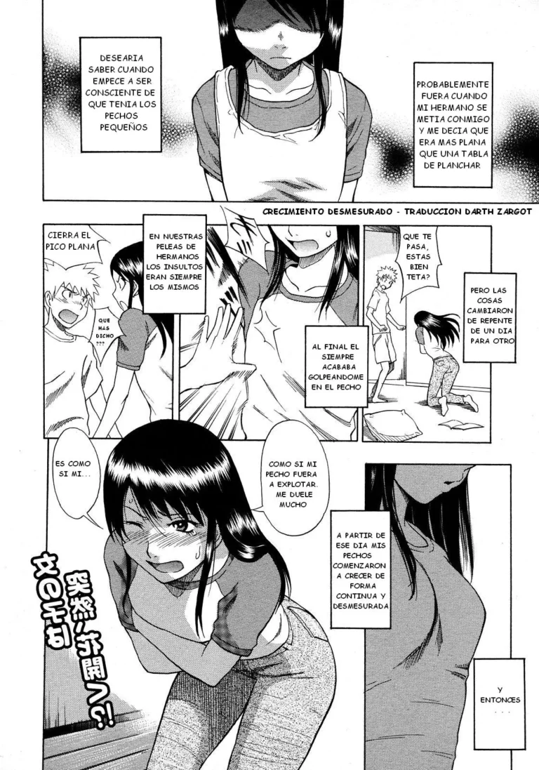 Hinyuu Kyonyuu History – Crecimiento Desmesurado