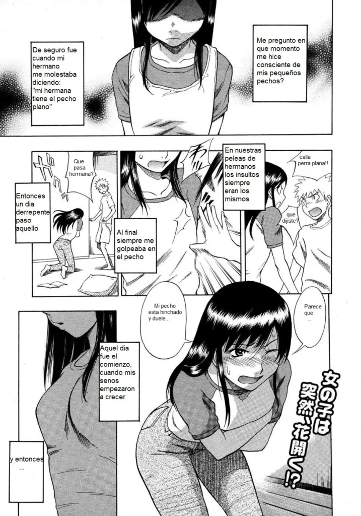 Hinyuu Kyonyuu History | Tiny Boobs Giant Tits History
