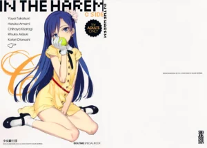 IN THE HAREM C SIDE (decensored)