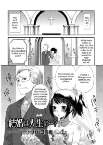 Kekkon wa Jinsei no......?