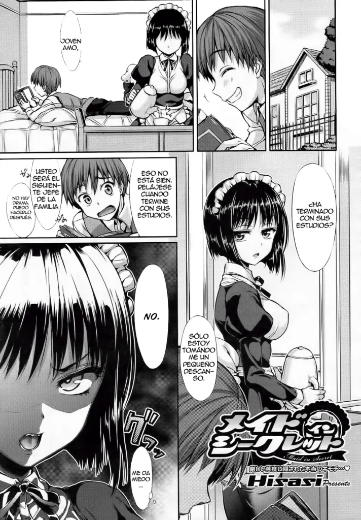 Maid in Secret