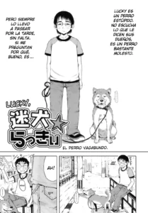 Mayo Inu Lucky | Lucky, el perro vagabundo.